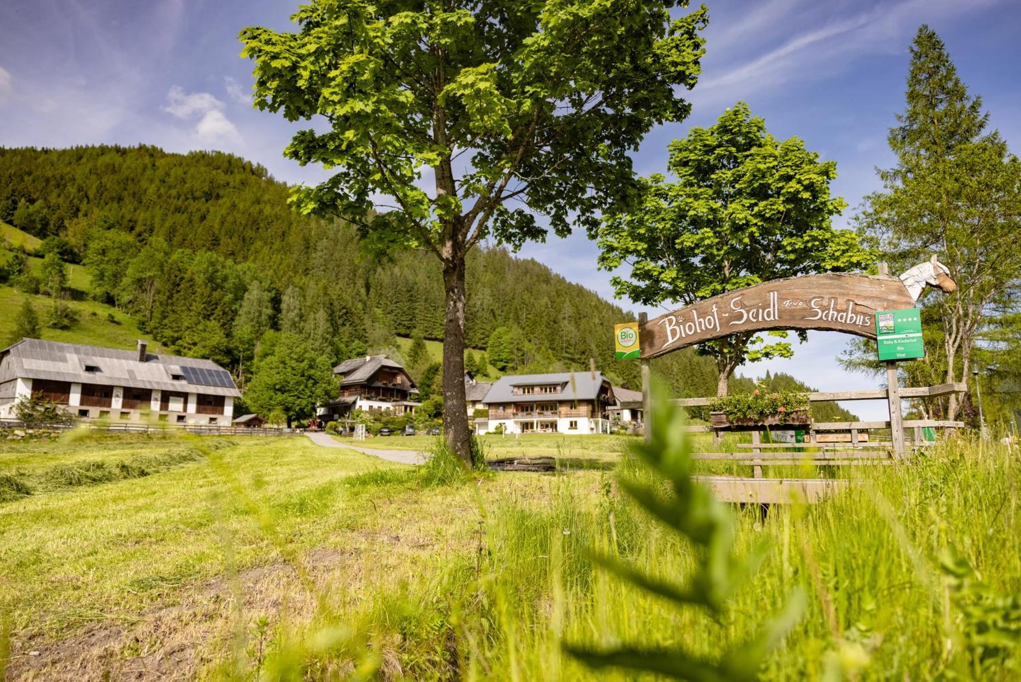 Ferienwohnung Biohof Seidl Bad Kleinkirchheim Exterior foto