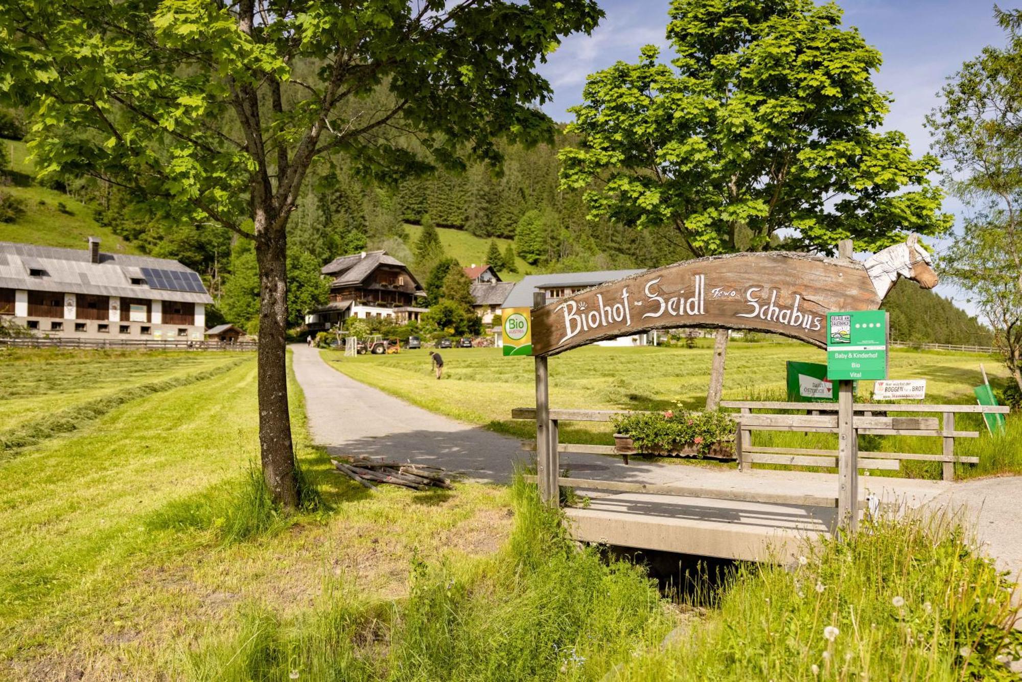 Ferienwohnung Biohof Seidl Bad Kleinkirchheim Exterior foto